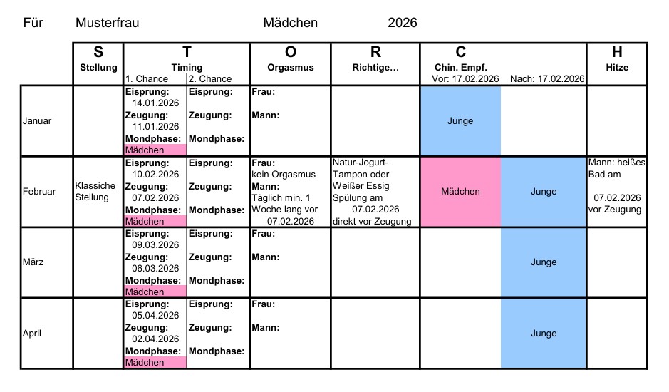 Muster-Plan Beispiel